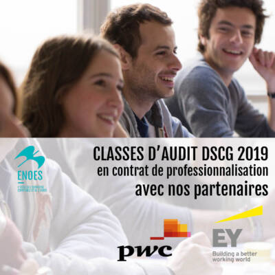 classes d'audit dscg 2019