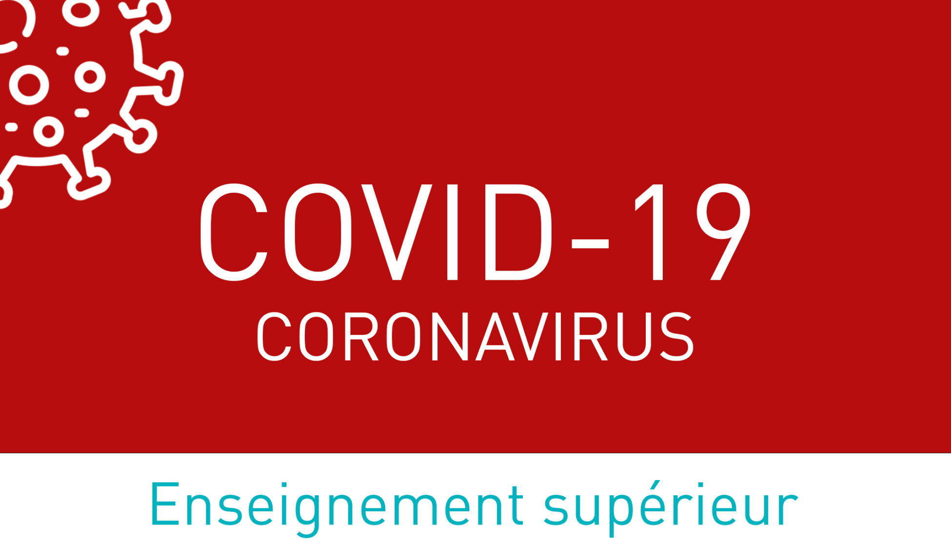 covid 19