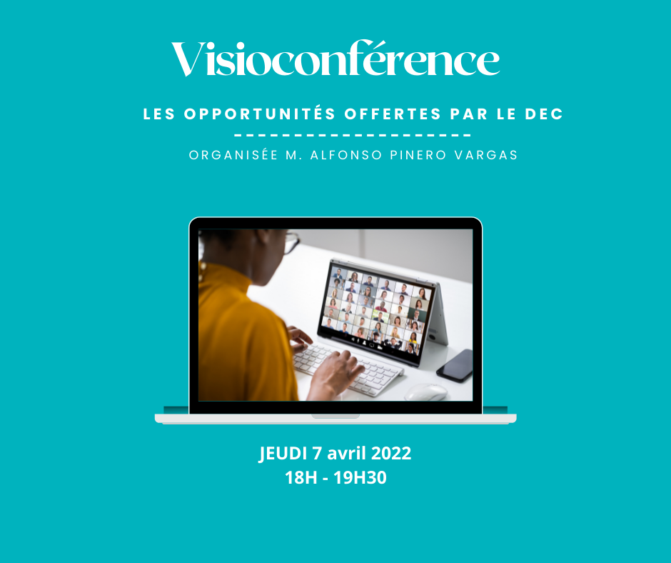 Visioconférence DEC
