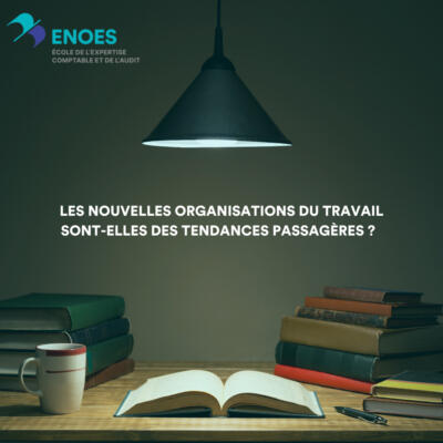 article de la bibliothèque enoes
