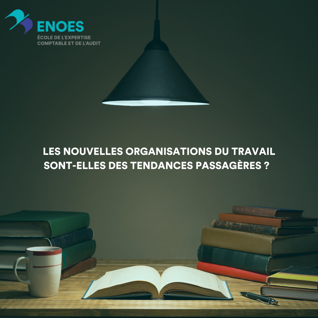 article de la bibliothèque enoes